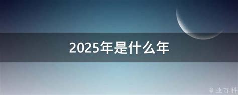 2025年是什么年